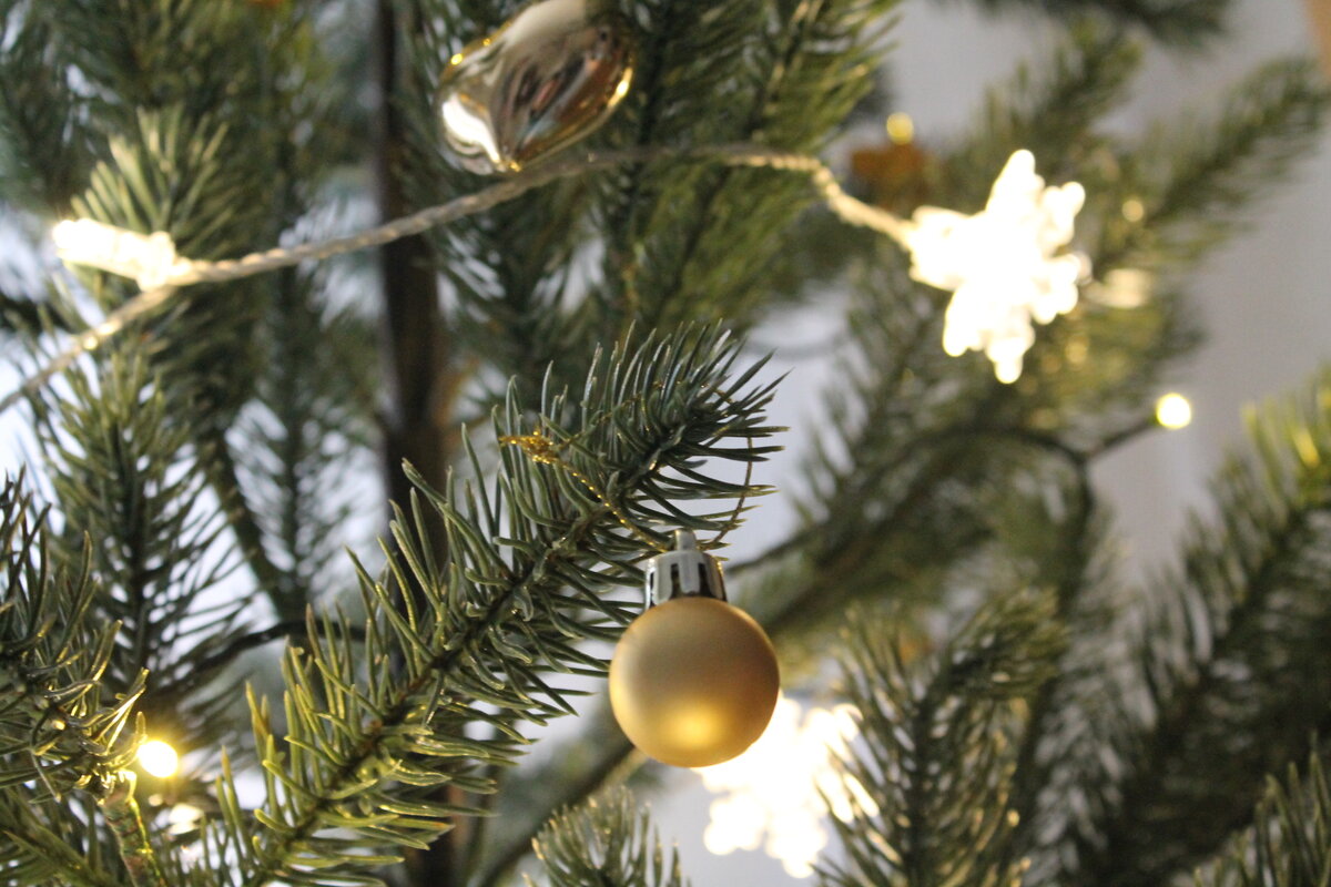 С переходом вас всех! (авторское фото)