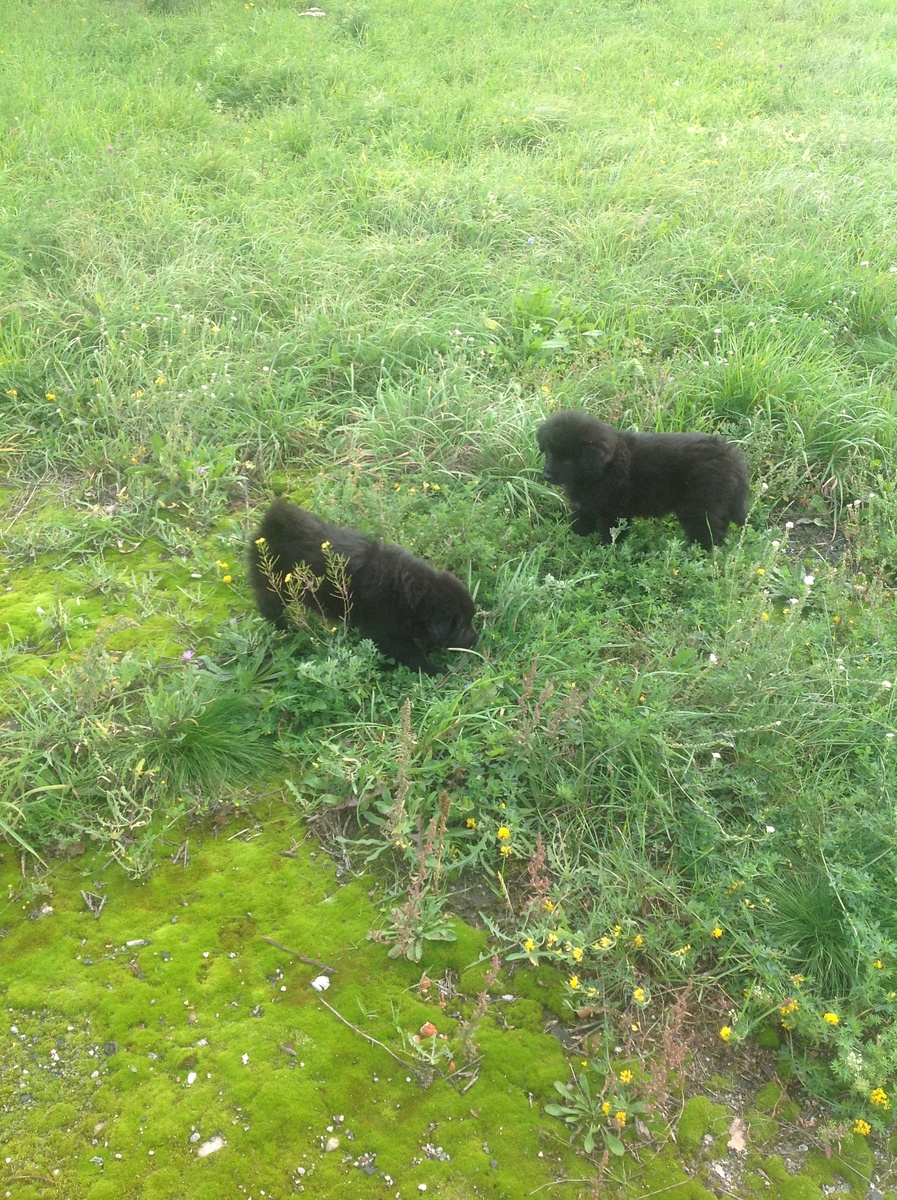 Вот такой подарок)