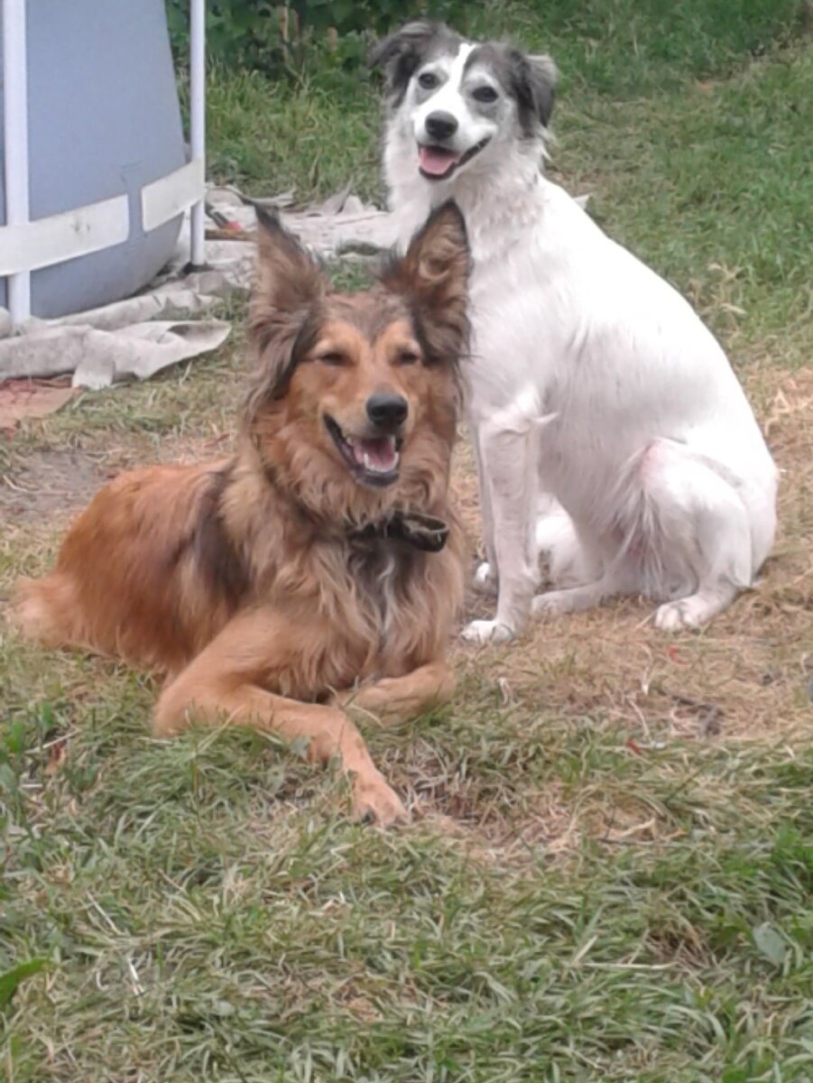 Жизнь удалась))