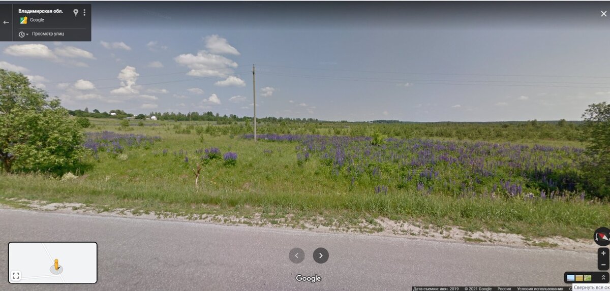 деревня и лес за ней.