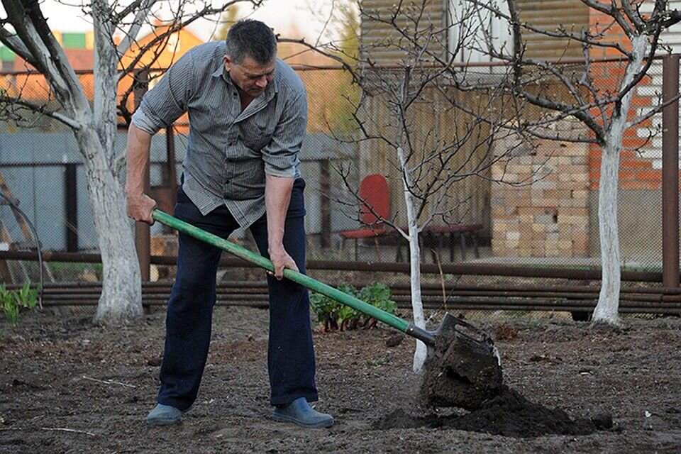 Фото: Яндекс