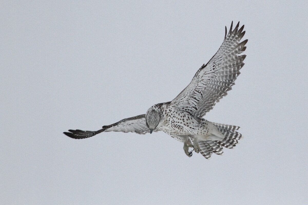 Я уже у твоих рук