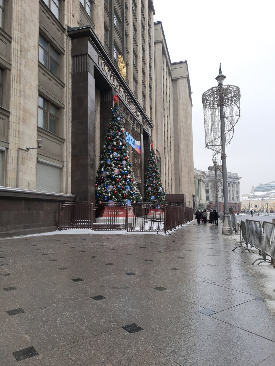 Ёлочки около государственной думы