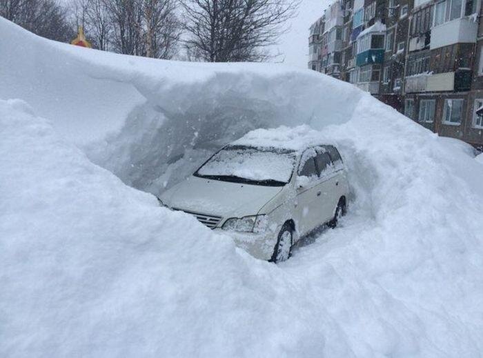 Картинка из сети интернет для иллюстрации