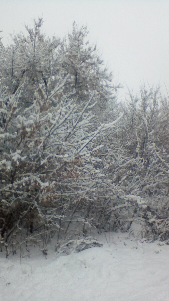 Зимний сон (Фото из личного архива)