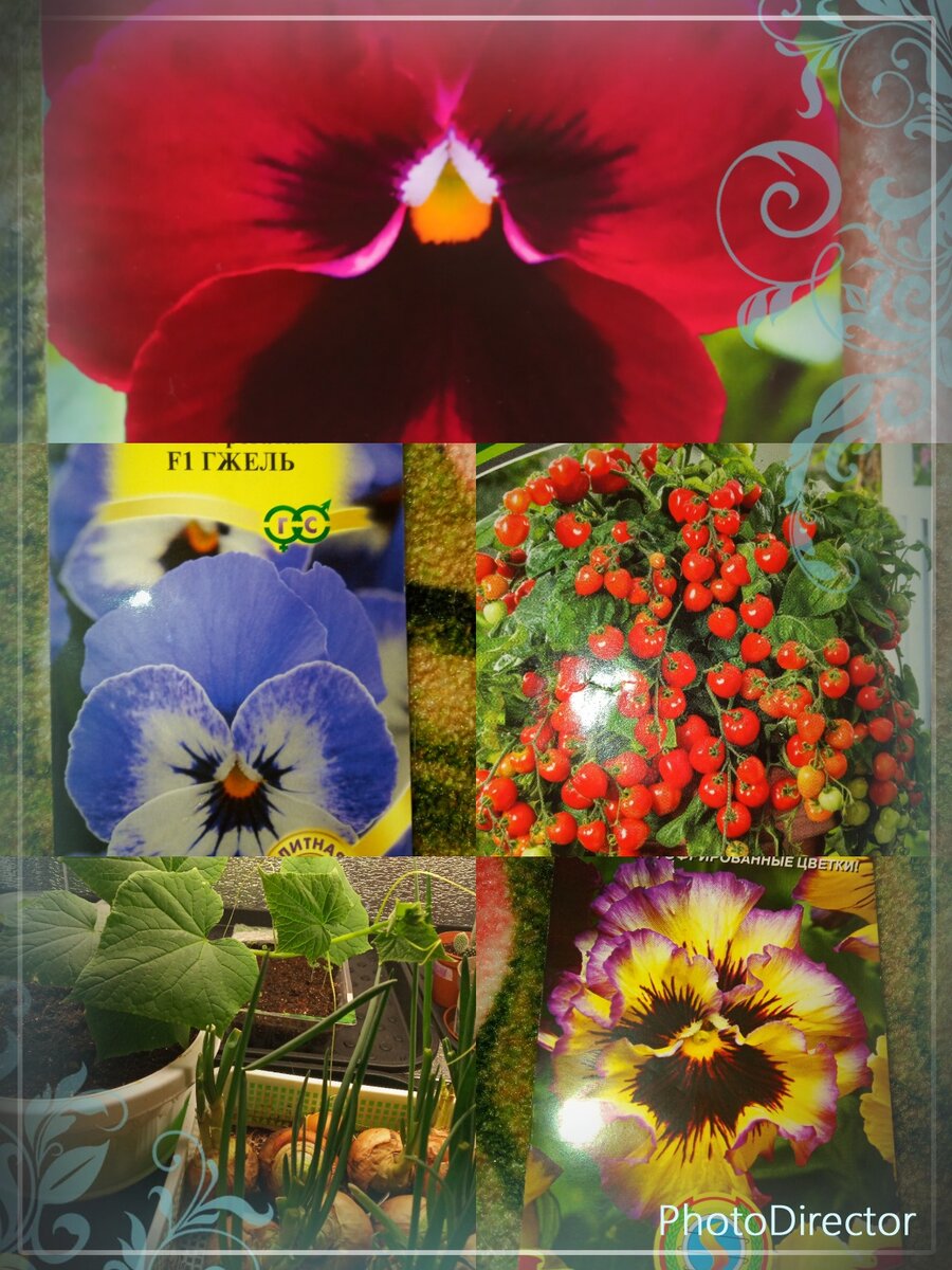 Фото из личного архива