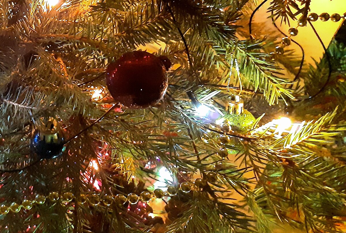 Моя живая ёлочка 2021.