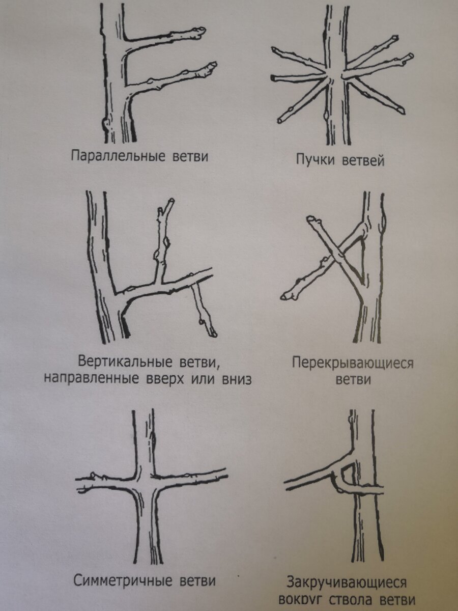 примеры нежелательных ветвей