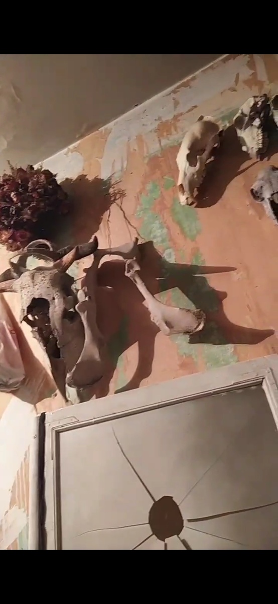 Скриншот из видео, которое сделала незаметно 
