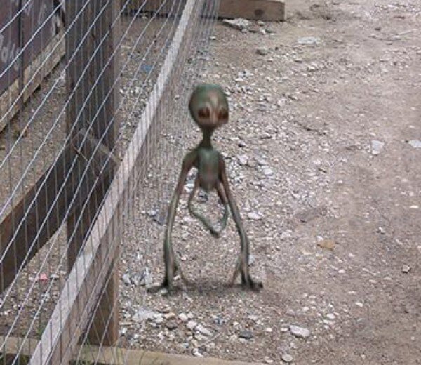 Изображение с сайта pinterest.ru