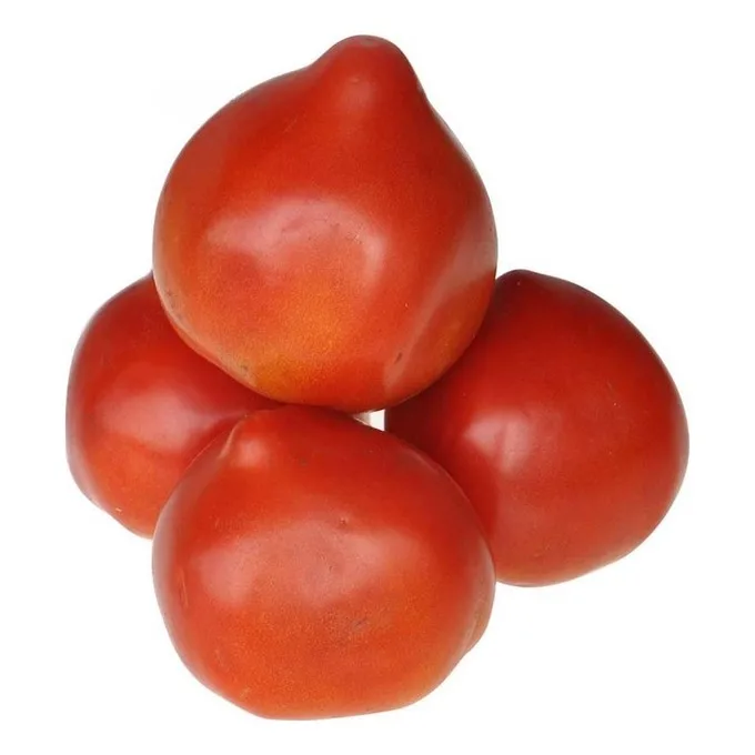 Яндекс картинки