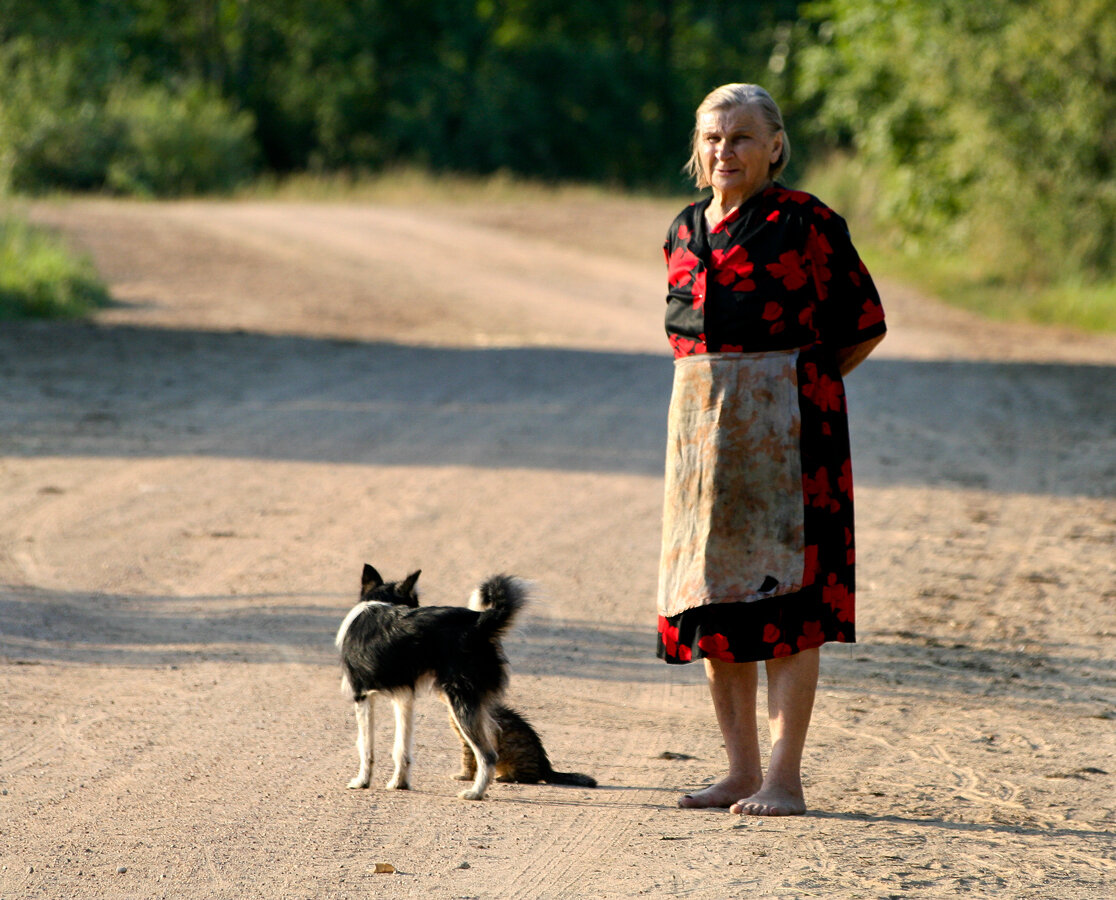 фото взято из открытого доступа