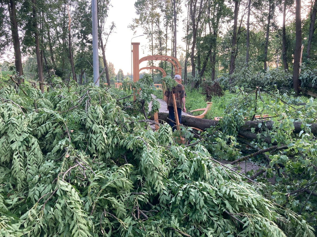 В Великих Луках целый год строили новый парк, но ураганом снесло все конструкции