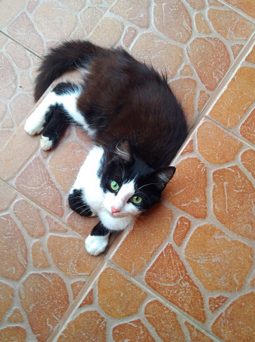 фото из личного архива