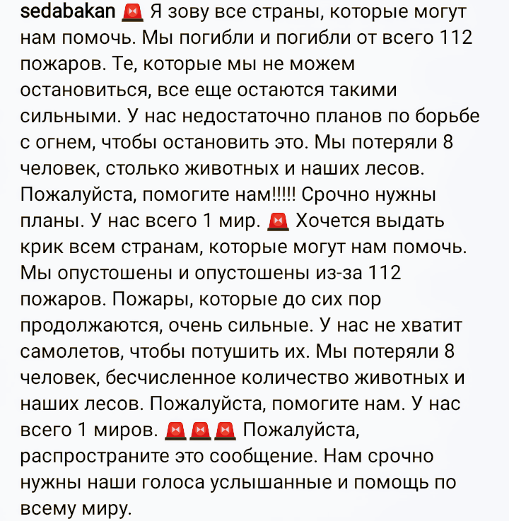 Фото из свободных источников