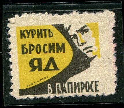 фото из открытых источников.