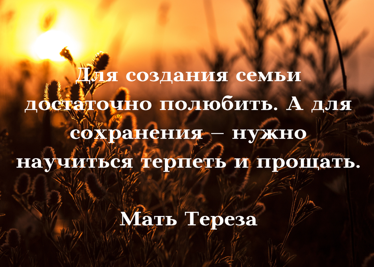 Коллаж составлен лично, в Канва. Цитата из открытого источника