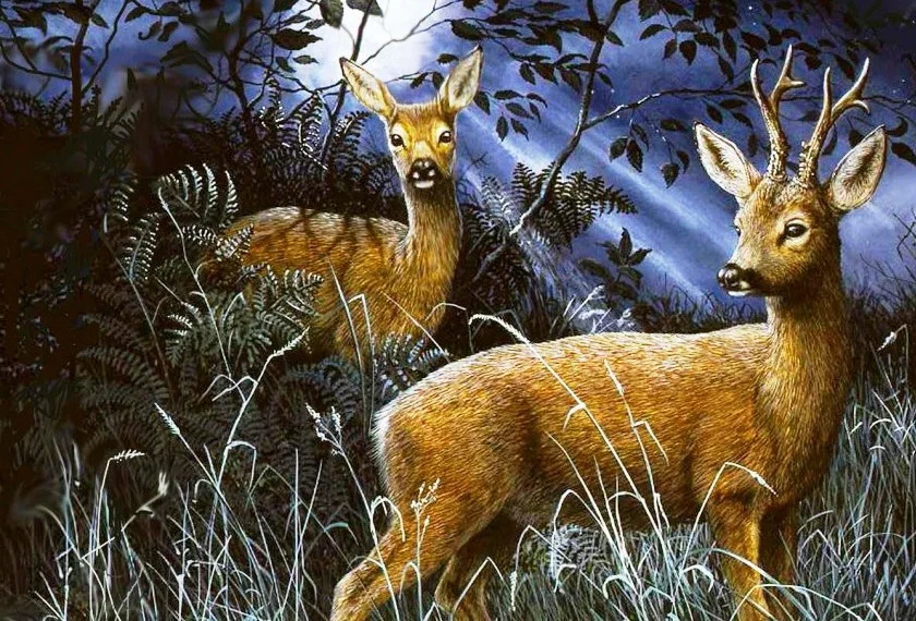 Добавьте описание