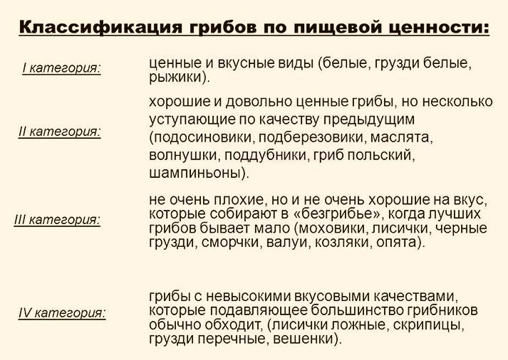 Иллюстрация из открытых источников "Яндекс картинки"