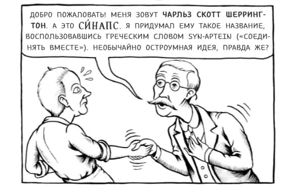 2013 год / 25 минут
