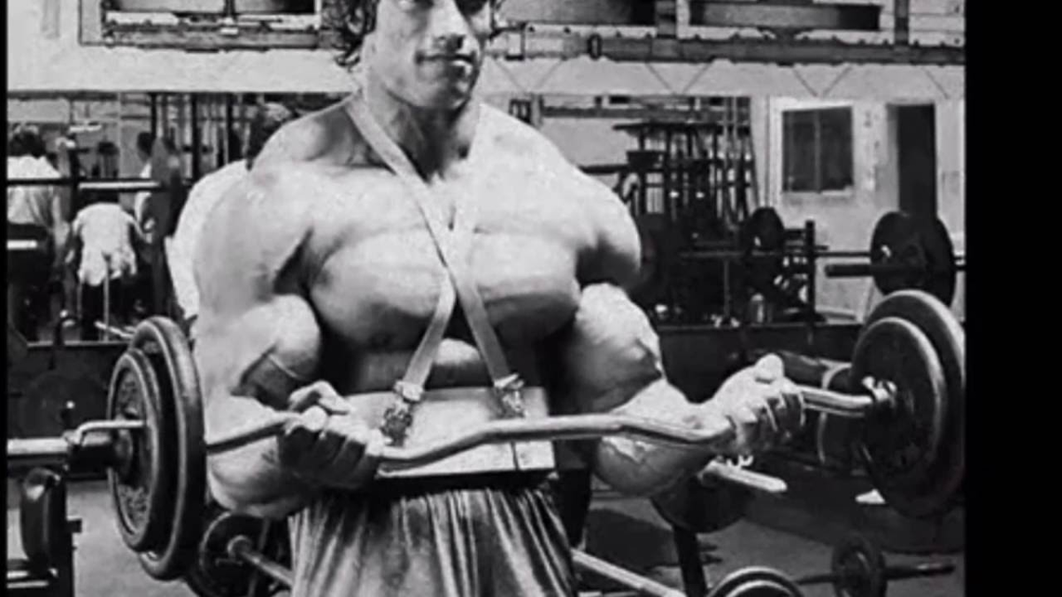 фото взято из открытых источников.