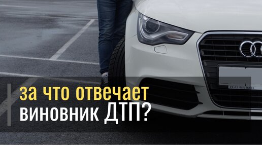 За что отвечает виновник ДТП?