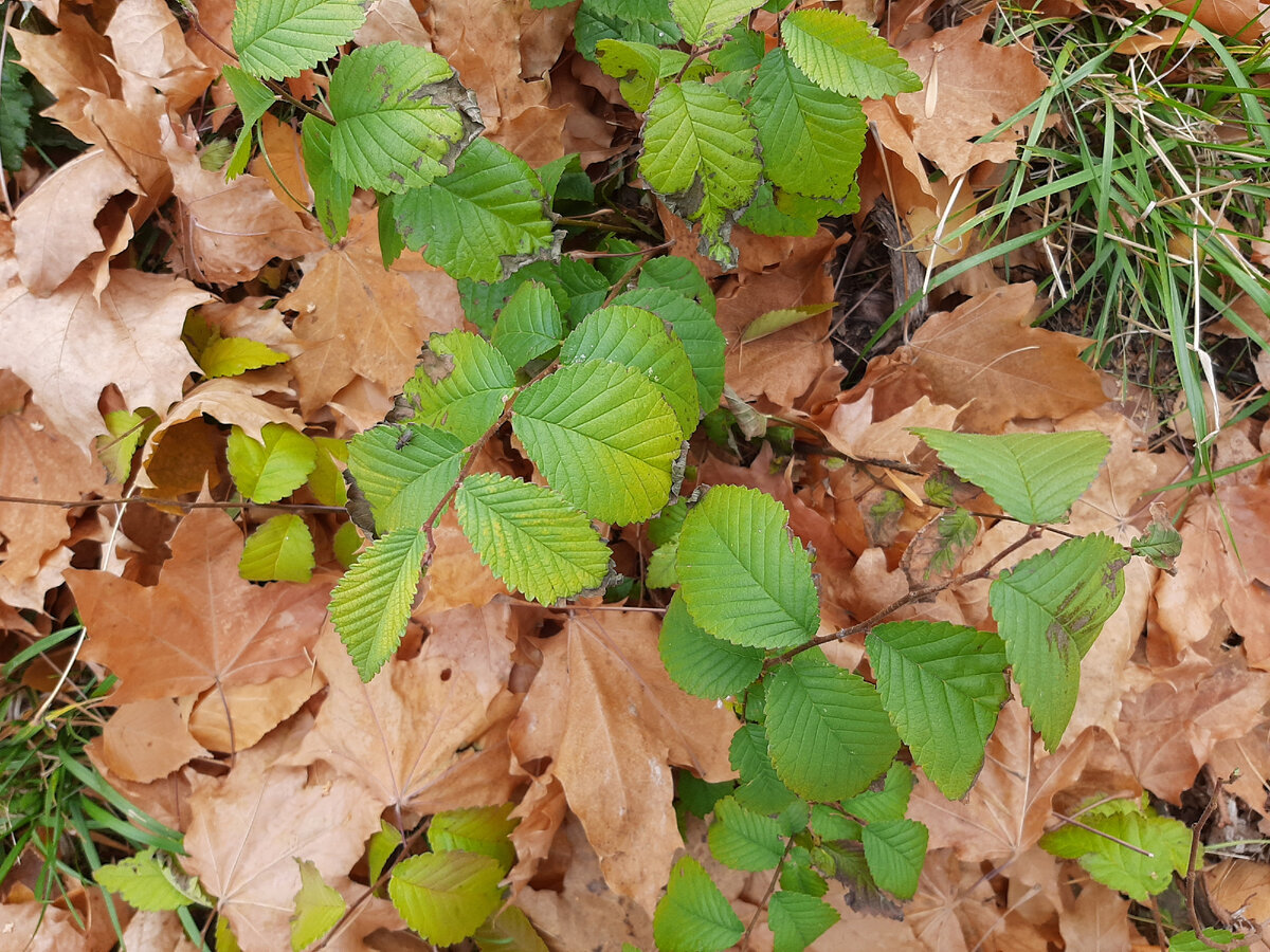 Фотография из личного архива автора