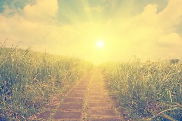 С этого дня я начинаю свой путь 15:00 01:02:22.