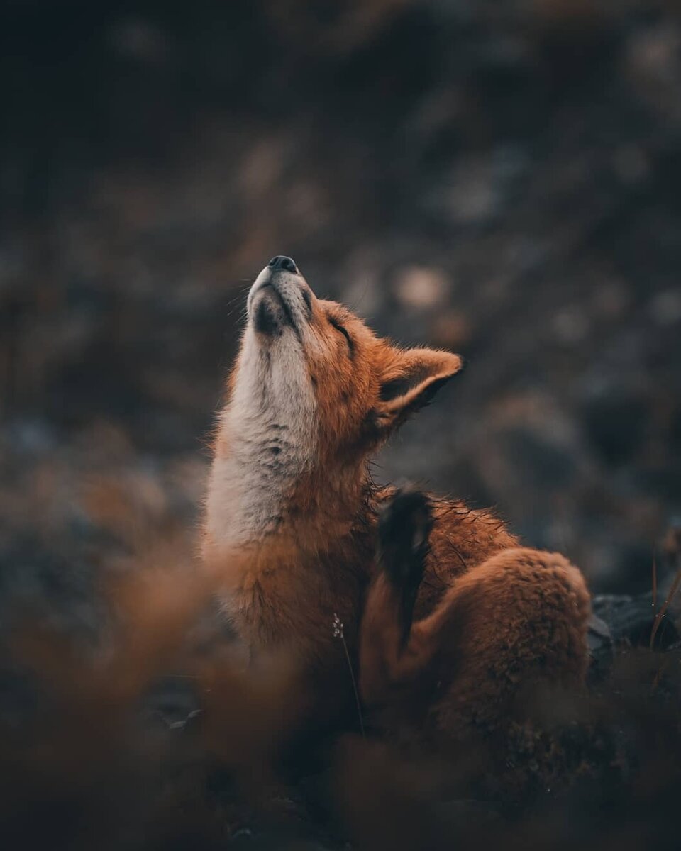 Фото Б. Зенина