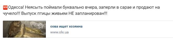 Сохранился только скрин того самого объявления с моим призывом о помощи