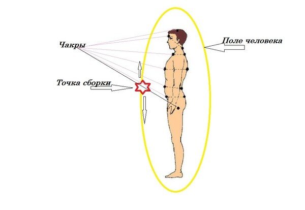 Где находится точка g, женщин, фото?