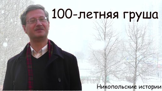 100-летняя груша