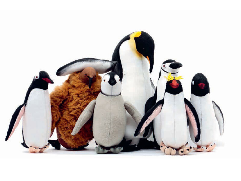 Иллюстрация из книги «А – это Антарктида»