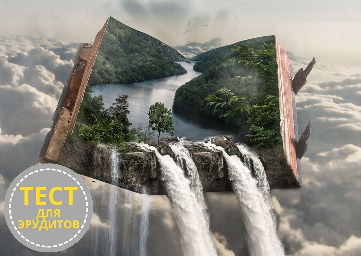 Источник изображения: pixabay.com, дизайн автора публикации