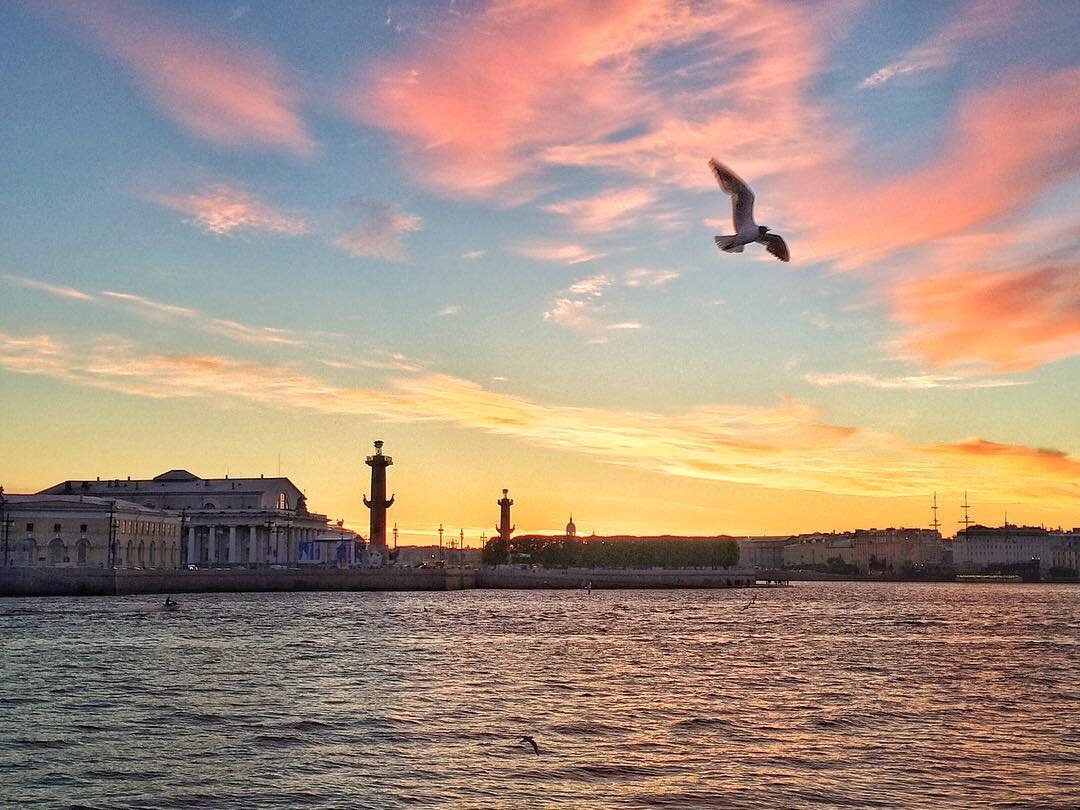 санкт петербург в июле