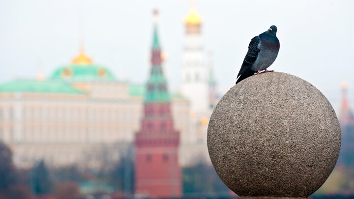 ФОТО: E. O. / SHUTTERSTOCK.COM