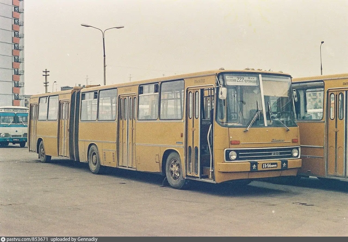  Икарус 280.01 фото pastvu.com