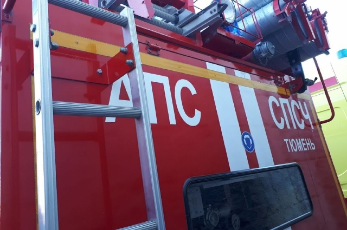    В Тюменской области 31 августа потушили лесной пожар площадью 0,26 га