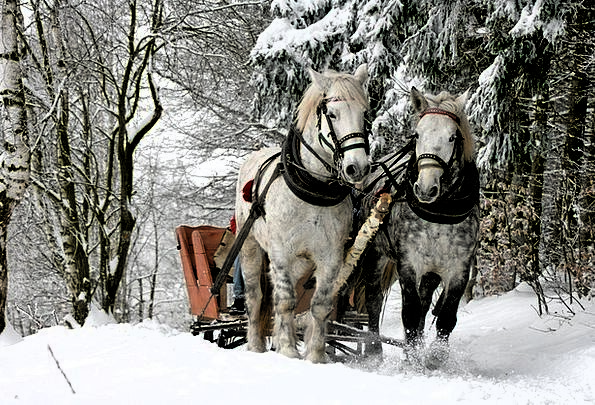 Yandex.ru
