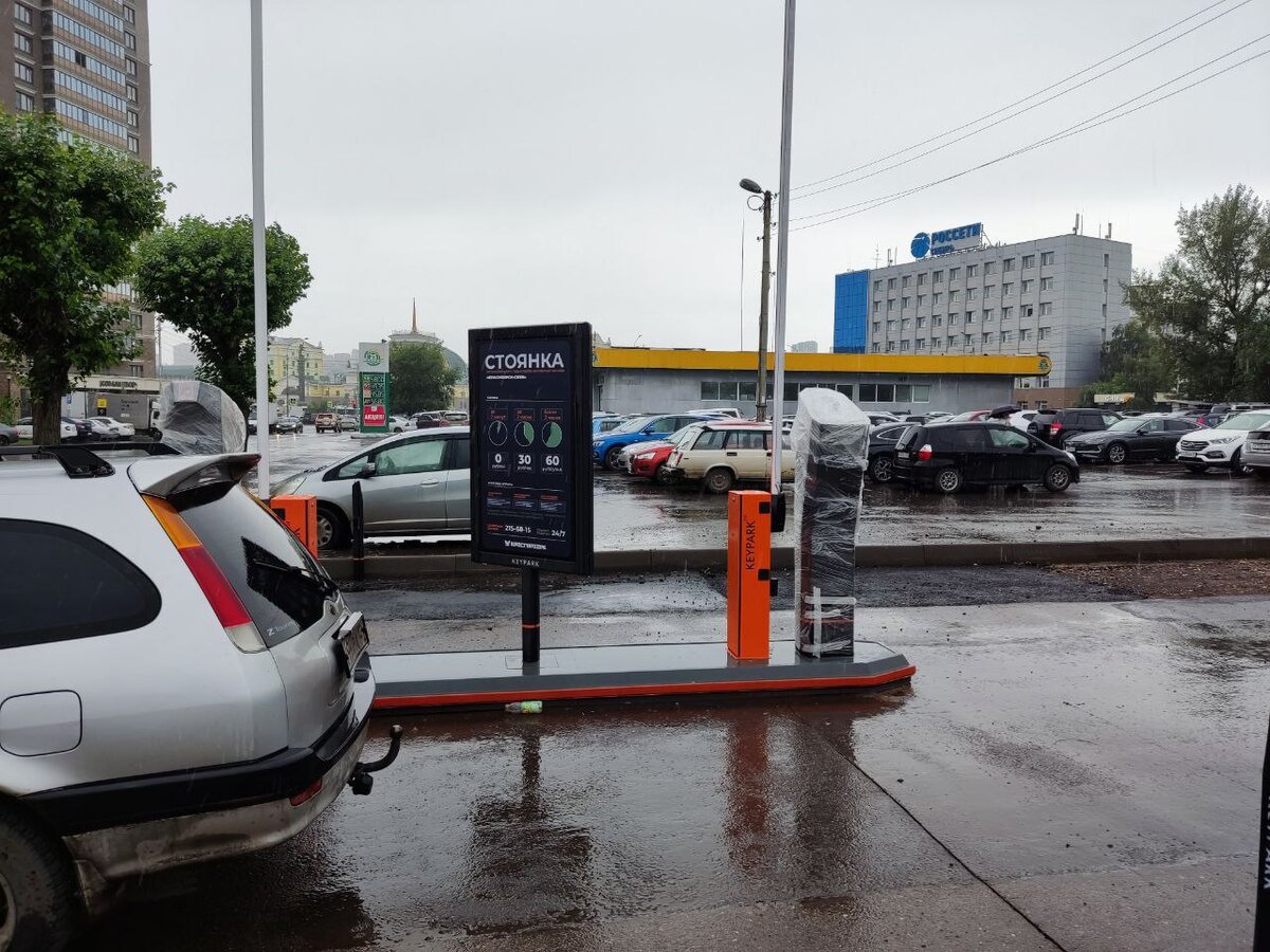 Сотрудники приюта оказали помощь раненому соколу