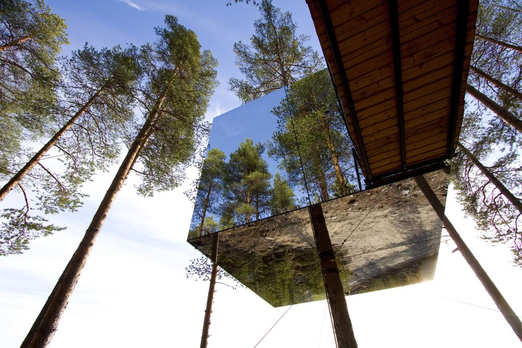 Отель tree. Отель Tree Hotel Швеция Харадс. Гостиница на дереве, Швеция (Treehotel). Tree Hotel Швеция Харадс зеркальный куб. Отель Treehotel в Швеции