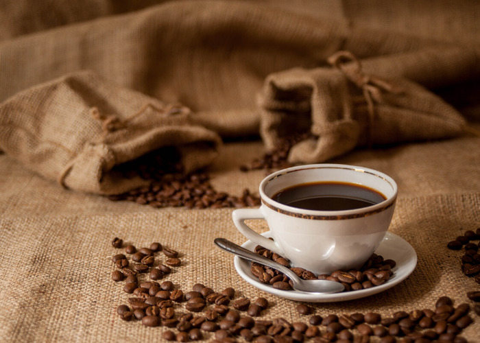 использовано фото с сайта canva.com