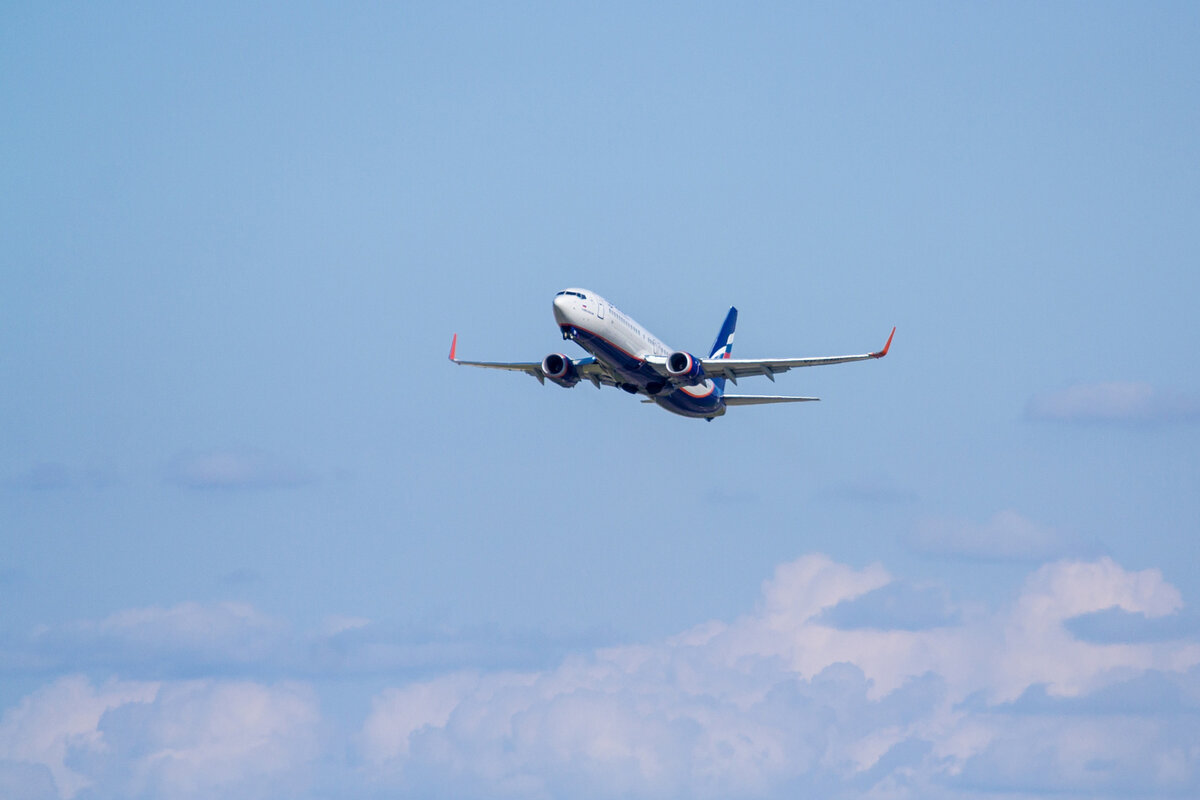 Самолет «Аэрофлота» / Фото авиакомпании