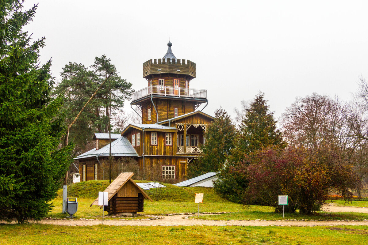 Усадьба репина в витебске фото