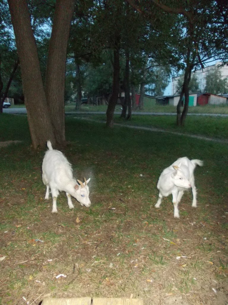 Фото из личного архива