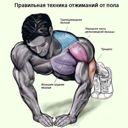 (пример правильной техники)