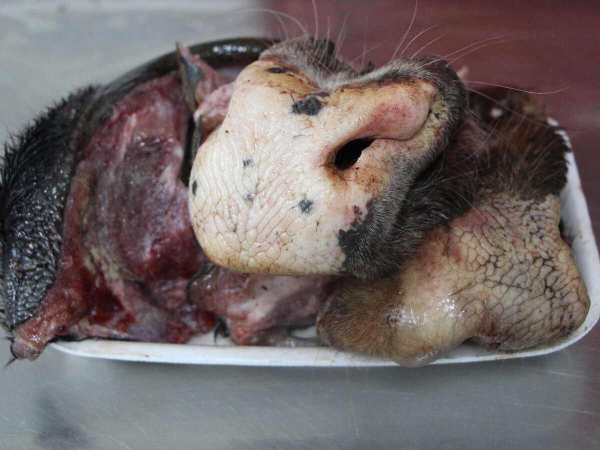 Все фото взяты из свободного доступа интернета.