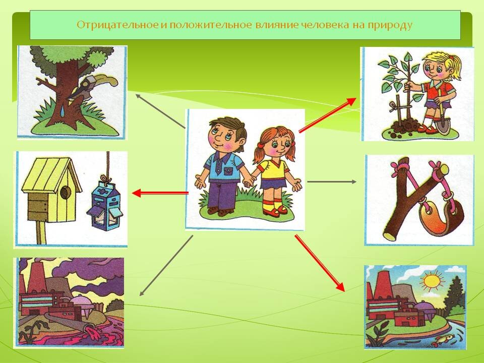 Окружающий мир презентация для дошкольников