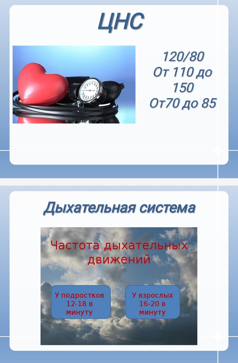 Из презентации