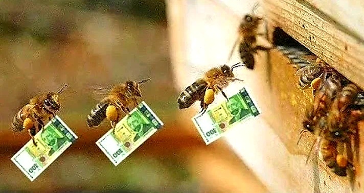 Пчёлы настоящие труженицы и кормилицы